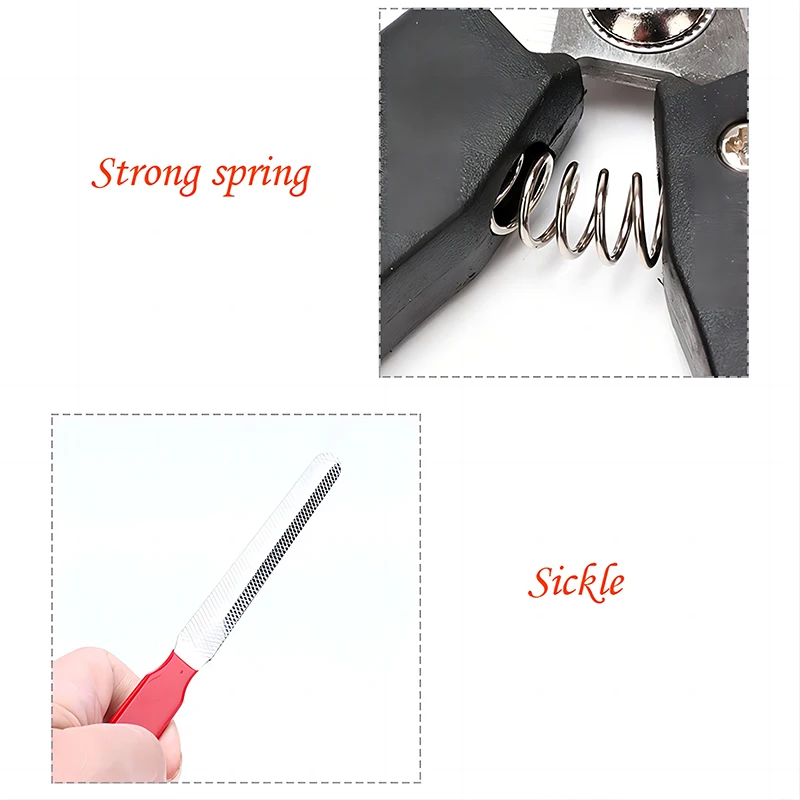 Pet Nail Clippers with Sickle Large Dog Nail Clippers Stainless Steel Grooming Scissors Nail Clippers Multifunctional Teddy Cat - Image 3