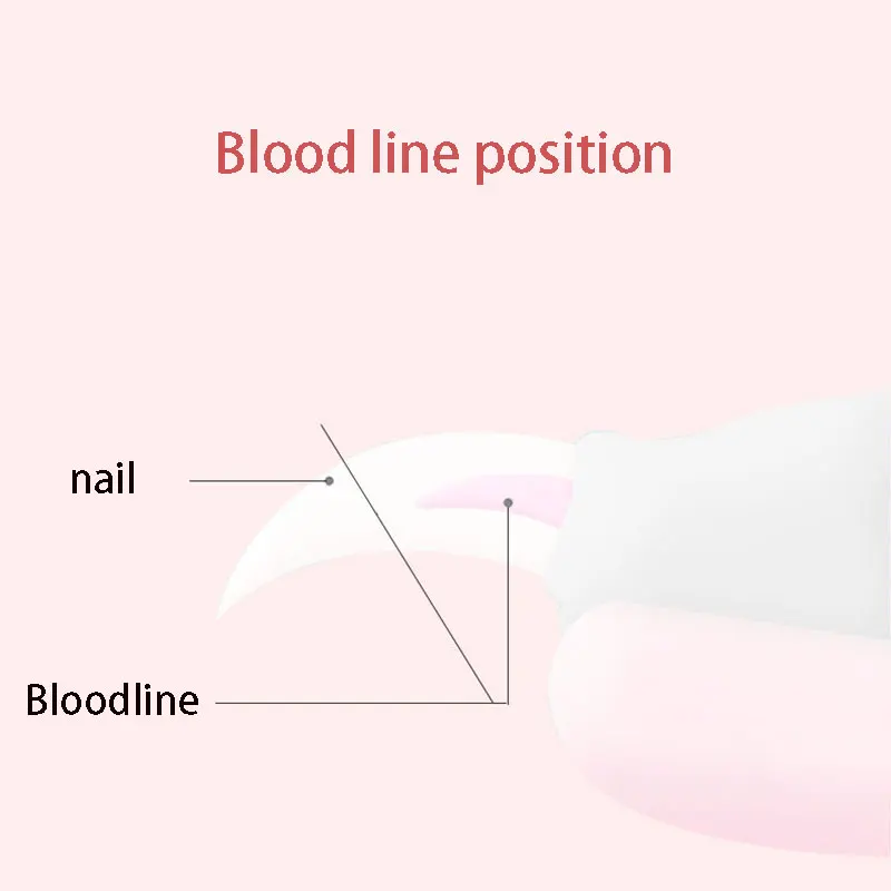 Pet Nail Clippers with Sickle Large Dog Nail Clippers Stainless Steel Grooming Scissors Nail Clippers Multifunctional Teddy Cat - Image 5