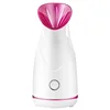 Hot Sale Household Appliances Face Care Vapozone Facial Steamer Professional Other Home Use Beauty Equipment Facial Steamer - Image 7